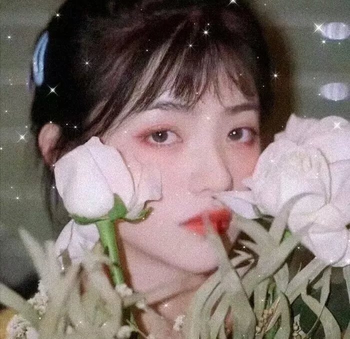 后宫